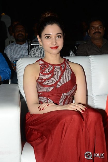 Tamannaah-at-Bengal-Tiger-Movie-Triple-Platinum-Disc-Function